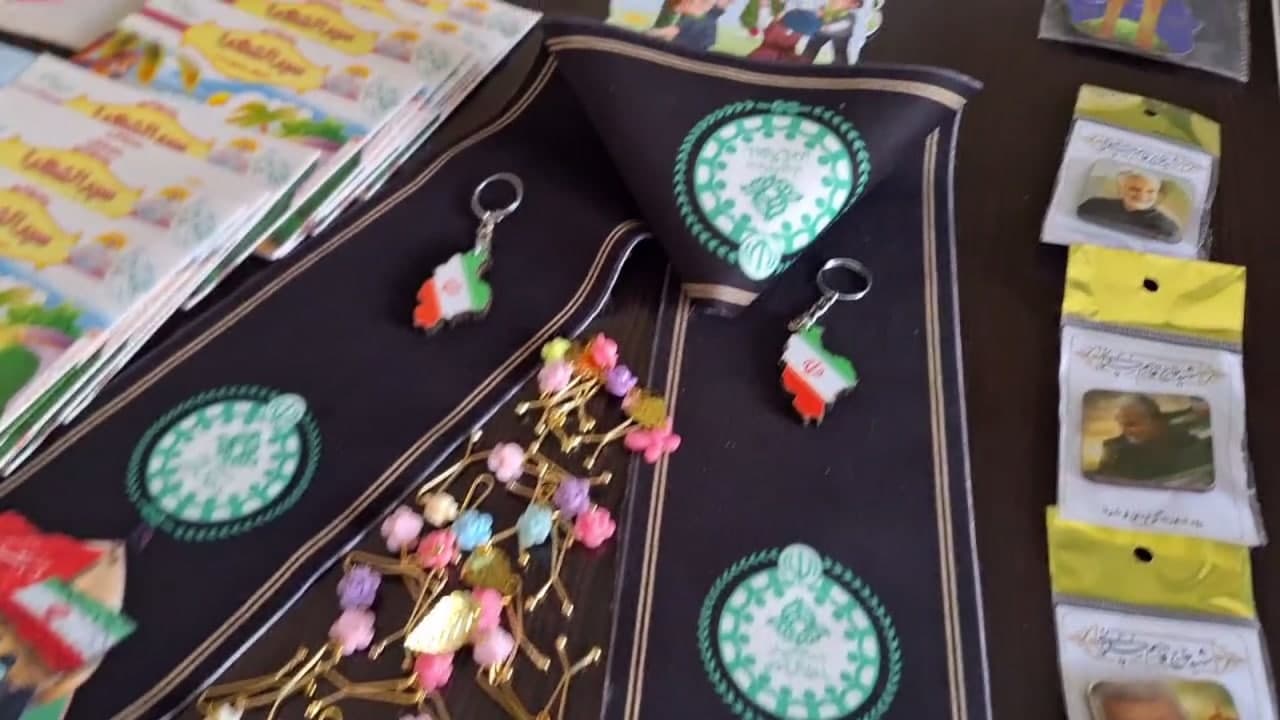 در مسیر پروانگی